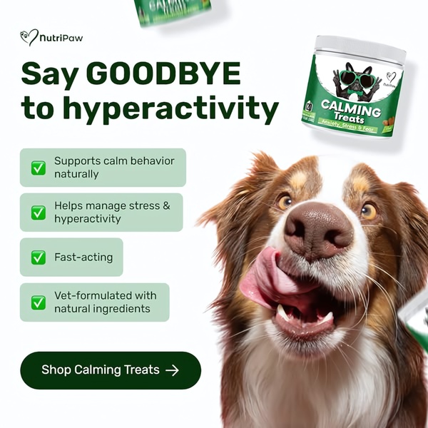 This ad creative uses a clear benefit-list format paired with an engaging image of a happy pet to promote calming treats for dogs.